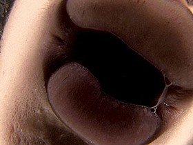 バーチャルべろチュウ 2　サンプル画像02